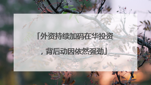 外资持续加码在华投资，背后动因依然强劲