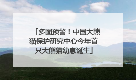 多图预警！中国大熊猫保护研究中心今年首只大熊猫幼崽诞生