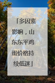 多因素影响，山东东平鸡蛋价格持续低迷