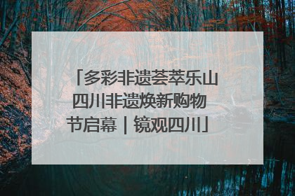 多彩非遗荟萃乐山 四川非遗焕新购物节启幕|镜观四川