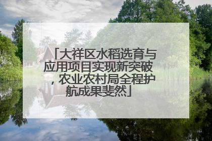 大祥区水稻选育与应用项目实现新突破，农业农村局全程护航成果斐然