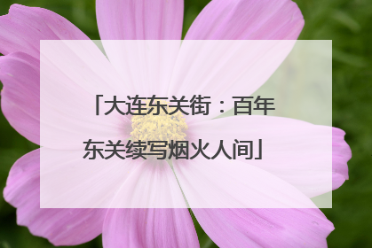 大连东关街：百年东关续写烟火人间