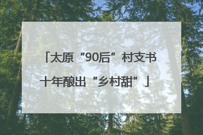 太原“90后”村支书十年酿出“乡村甜”