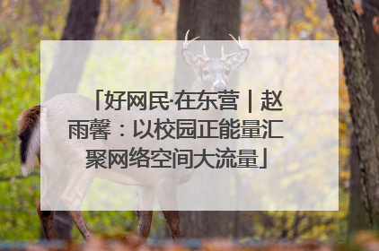 好网民·在东营｜赵雨馨：以校园正能量汇聚网络空间大流量