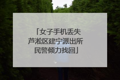 女子手机丢失 芦淞区建宁派出所民警倾力找回