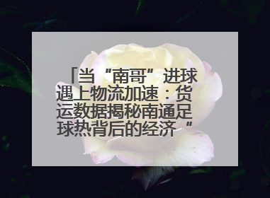当“南哥”进球遇上物流加速：货运数据揭秘南通足球热背后的经济“射门”