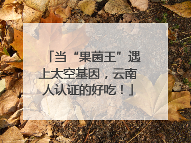 当“果菌王”遇上太空基因，云南人认证的好吃！