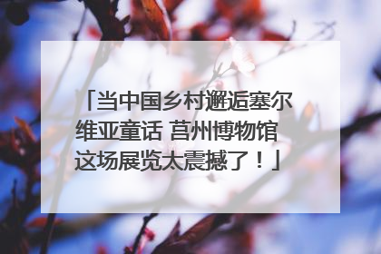 当中国乡村邂逅塞尔维亚童话 莒州博物馆这场展览太震撼了！