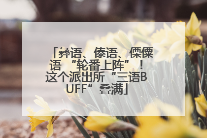 彝语、傣语、傈僳语 “轮番上阵”！这个派出所“三语BUFF”叠满