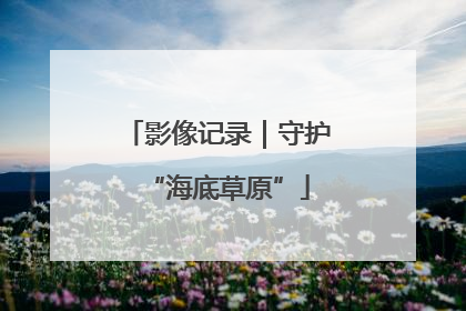 影像记录｜守护“海底草原”