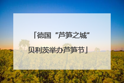 德国“芦笋之城”贝利茨举办芦笋节