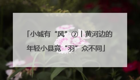 小城有“风”②丨黄河边的年轻小县竟“羽”众不同