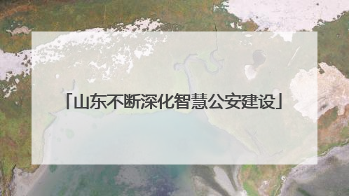 山东不断深化智慧公安建设