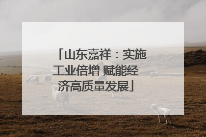 山东嘉祥：实施工业倍增 赋能经济高质量发展