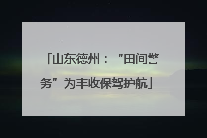 山东德州：“田间警务”为丰收保驾护航