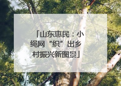 山东惠民：小绳网“织”出乡村振兴新图景