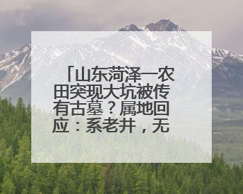 山东菏泽一农田突现大坑被传有古墓？属地回应：系老井，无古墓迹象，已回填