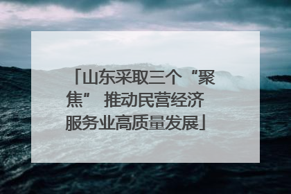 山东采取三个“聚焦” 推动民营经济服务业高质量发展