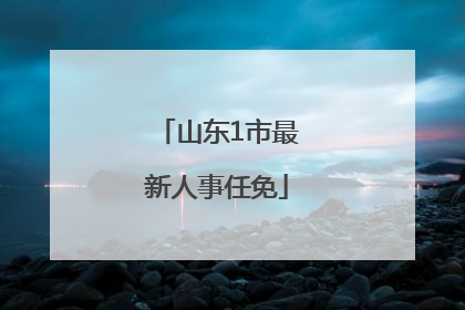 山东1市最新人事任免