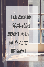 山西保德：筑牢黄河流域生态屏障 永葆美丽底色