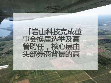 岩山科技完成董事会换届选举及高管聘任，核心层由头部券商背景的高管掌控
