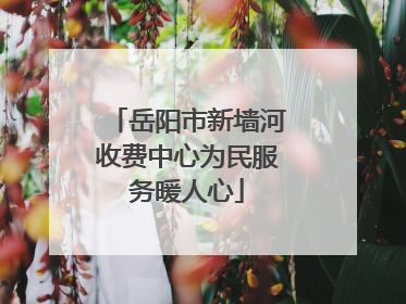 岳阳市新墙河收费中心为民服务暖人心