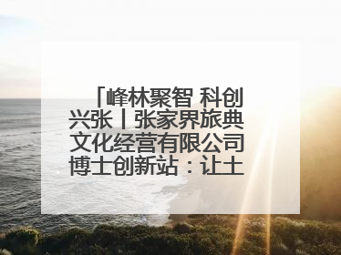 峰林聚智 科创兴张丨张家界旅典文化经营有限公司博士创新站：让土家织锦“智”造出非遗新传奇