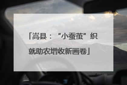 嵩县：“小蚕茧”织就助农增收新画卷