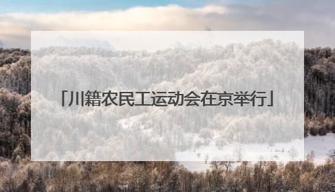 川籍农民工运动会在京举行