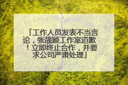 工作人员发表不当言论，张靓颖工作室道歉！立即终止合作，并要求公司严肃处理