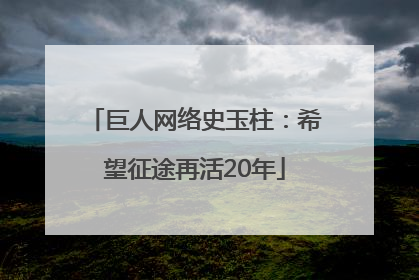 巨人网络史玉柱：希望征途再活20年