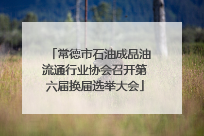 常德市石油成品油流通行业协会召开第六届换届选举大会