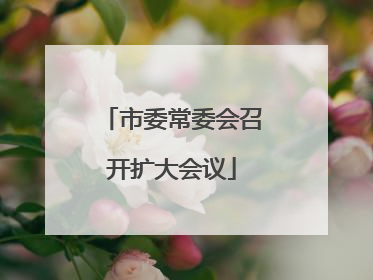 市委常委会召开扩大会议