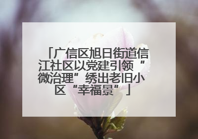 广信区旭日街道信江社区以党建引领“微治理”绣出老旧小区“幸福景”