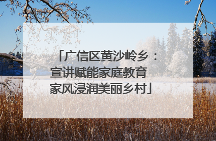 广信区黄沙岭乡：宣讲赋能家庭教育 家风浸润美丽乡村