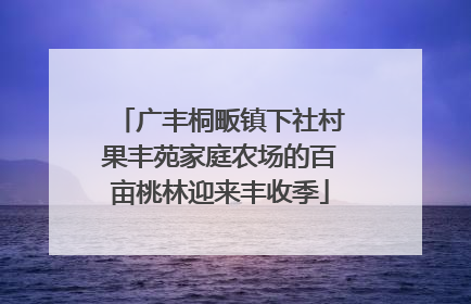 广丰桐畈镇下社村果丰苑家庭农场的百亩桃林迎来丰收季