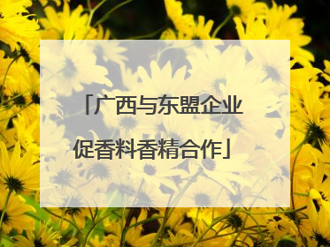 广西与东盟企业促香料香精合作