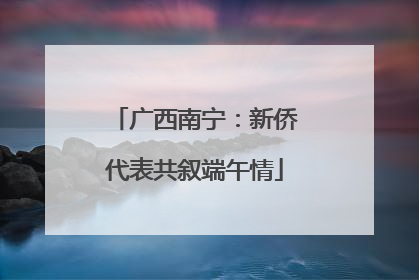 广西南宁：新侨代表共叙端午情
