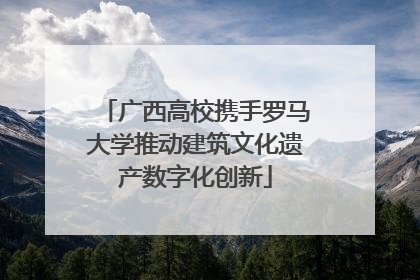广西高校携手罗马大学推动建筑文化遗产数字化创新