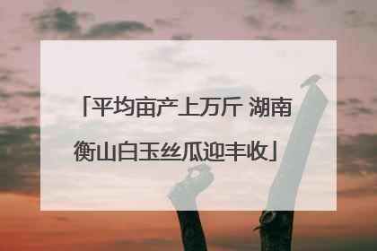 平均亩产上万斤 湖南衡山白玉丝瓜迎丰收
