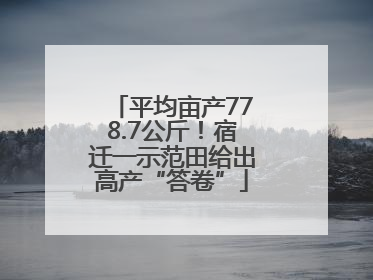 平均亩产778.7公斤！宿迁一示范田给出高产“答卷”
