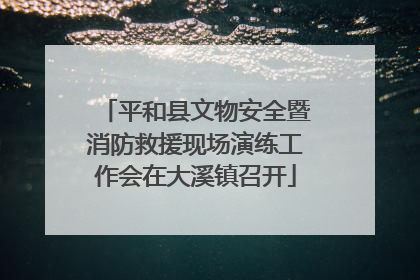 平和县文物安全暨消防救援现场演练工作会在大溪镇召开