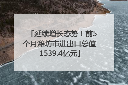 延续增长态势！前5个月潍坊市进出口总值1539.4亿元
