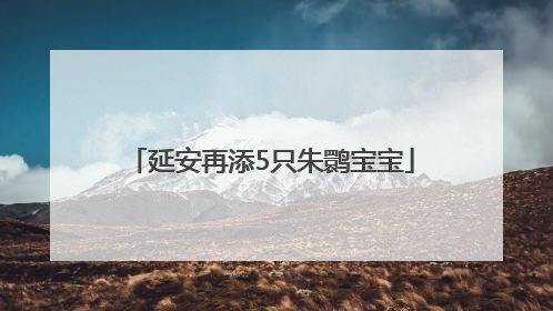 延安再添5只朱鹮宝宝
