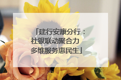 建行安康分行：社银联动聚合力 多维服务惠民生