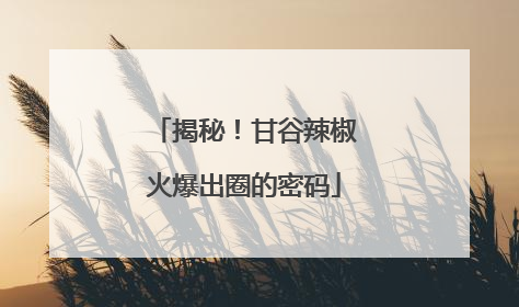 揭秘！甘谷辣椒火爆出圈的密码