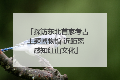探访东北首家考古主题博物馆 近距离感知红山文化