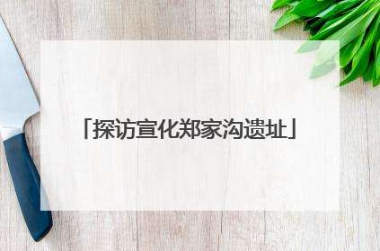 探访宣化郑家沟遗址