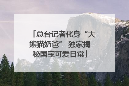 总台记者化身“大熊猫奶爸” 独家揭秘国宝可爱日常