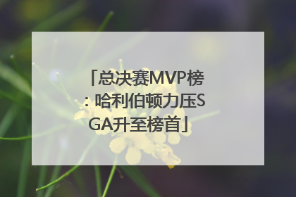总决赛MVP榜：哈利伯顿力压SGA升至榜首